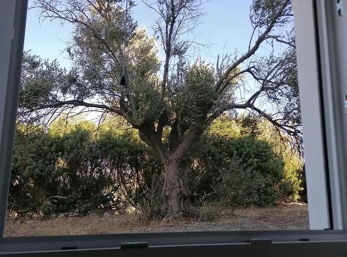 Zafiri Countryside 4 * Agios Arsenios